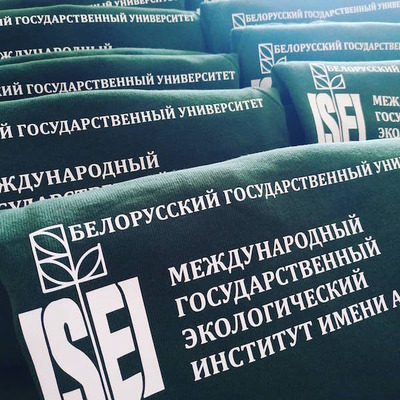 Свитшоты с печатью логотипа